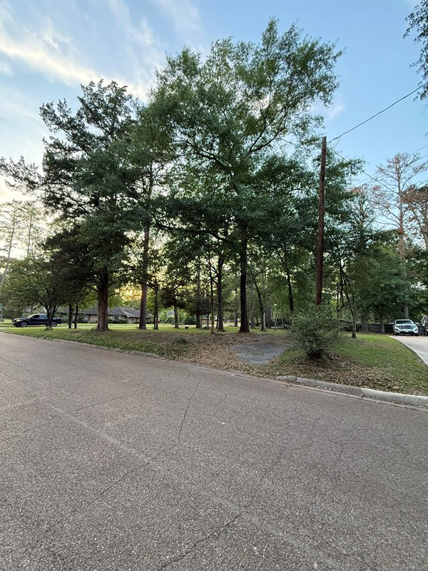 1218 Wildbriar Wildbriar Drive, Lufkin, TX 75904