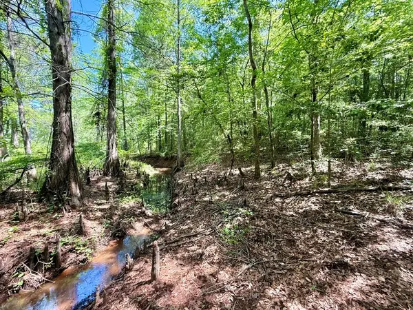 445 Falcon Drive, Hemphill, TX 75948