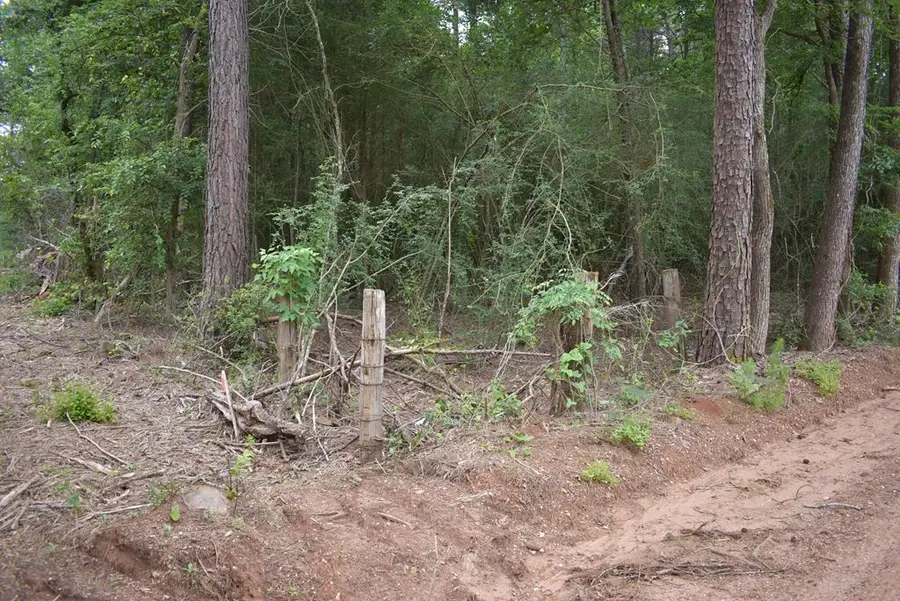 10.49 Acres Cr 837, Nacogdoches, TX 75965 - #3