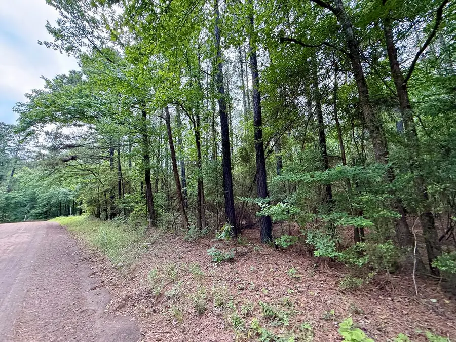 141 Mason Lane, Milam, TX 75959 - #3