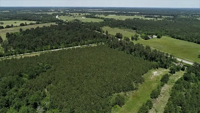 9490 Hwy 19, Lovelady, TX 75851 - #2
