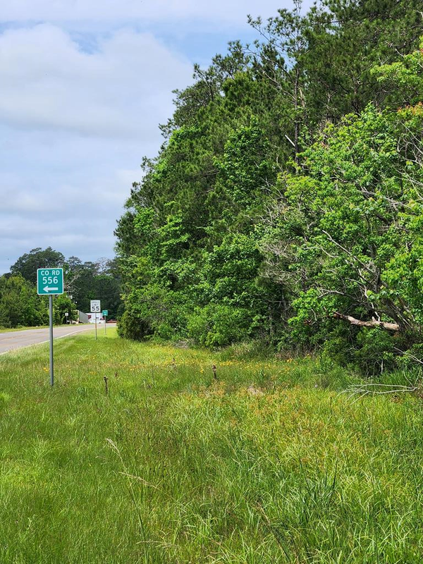 PID 21805 Private Road 5425, Kirbyville, TX 75956