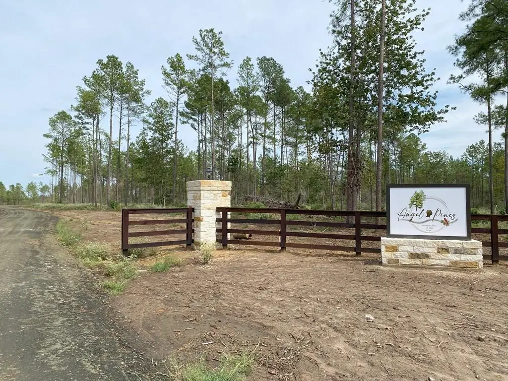 154910 Tract 17 Fm 844, Huntington, TX 75949 - #1