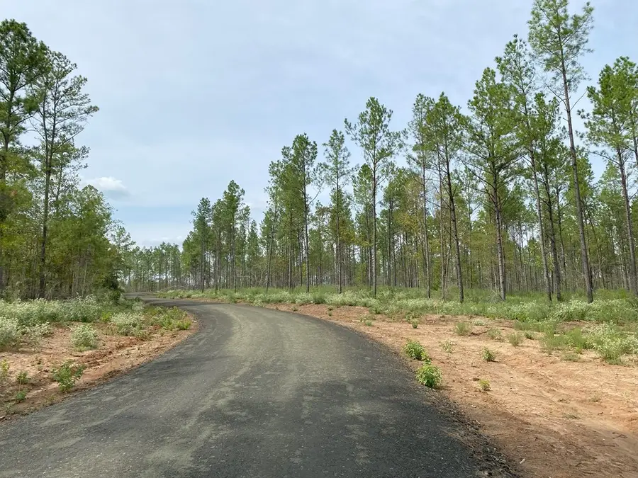 154910 Tract 17 Fm 844, Huntington, TX 75949 - #3
