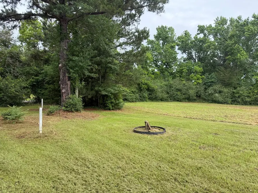 368 County Road 1180, Center, TX 75935 - #2
