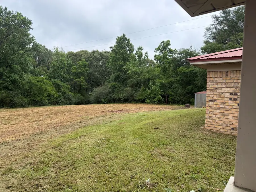 368 County Road 1180, Center, TX 75935 - #3