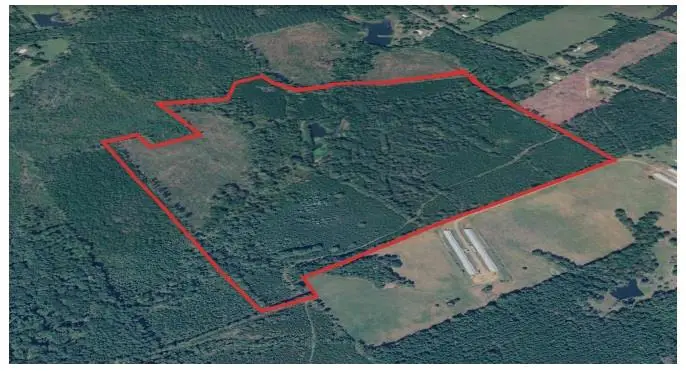 2888 Cr 3169, Joaquin, TX 75954 - #1