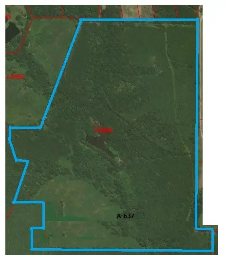 2888 Cr 3169, Joaquin, TX 75954 - #3