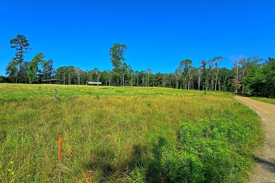 222 Gandy Dr, Hemphill, TX 75948 - #2