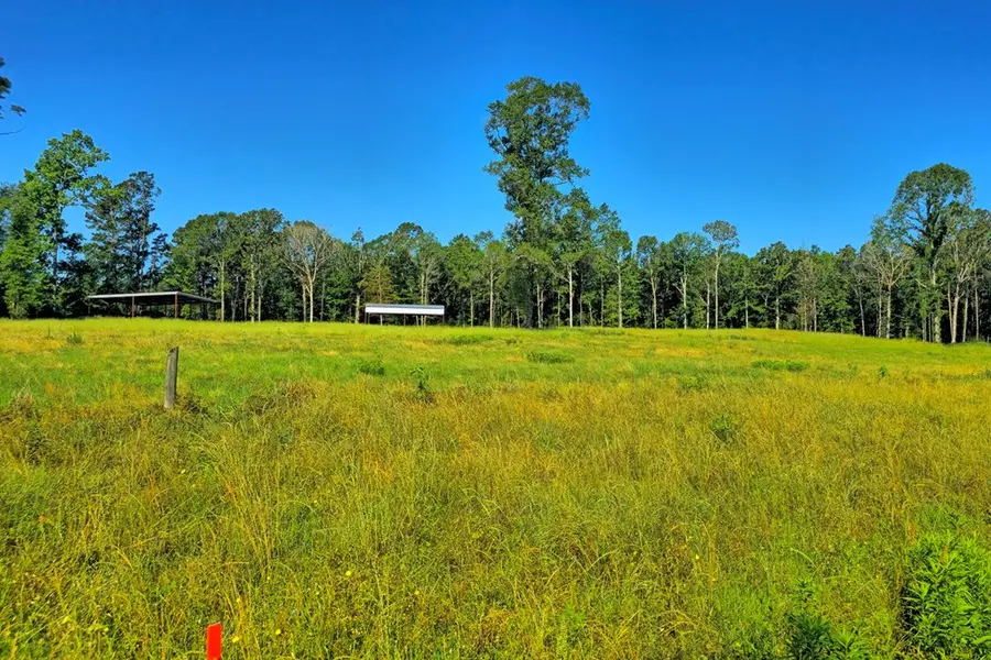 222 Gandy Dr, Hemphill, TX 75948 - #3