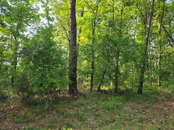 150 Angleridge Drive, Brookeland, TX 75931