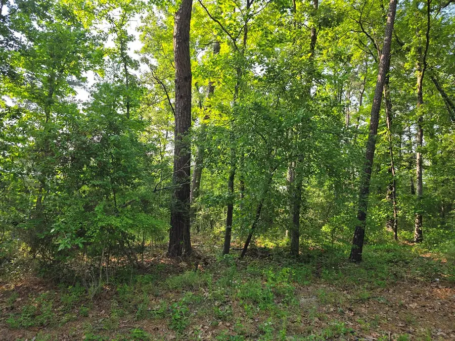 150 Angleridge Drive, Brookeland, TX 75931 - #3