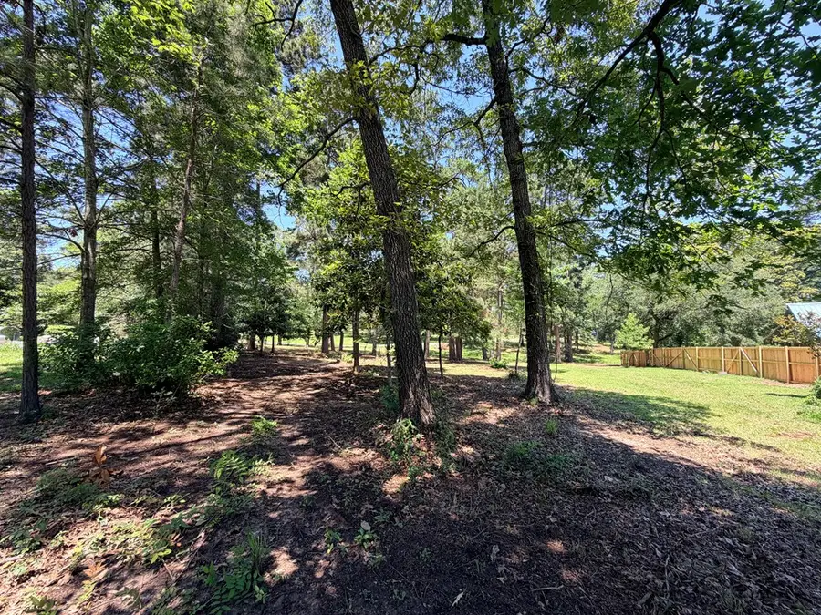 Lot 41 El Camino Drive, Hemphill, TX 75948 - #3