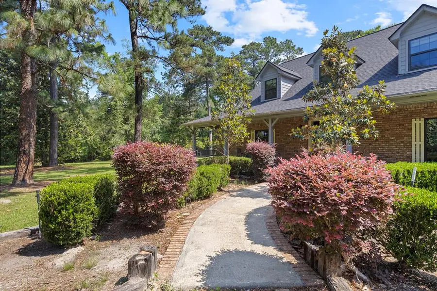 612 Black Squirrel Drive, Brookeland, TX 75931 - #3