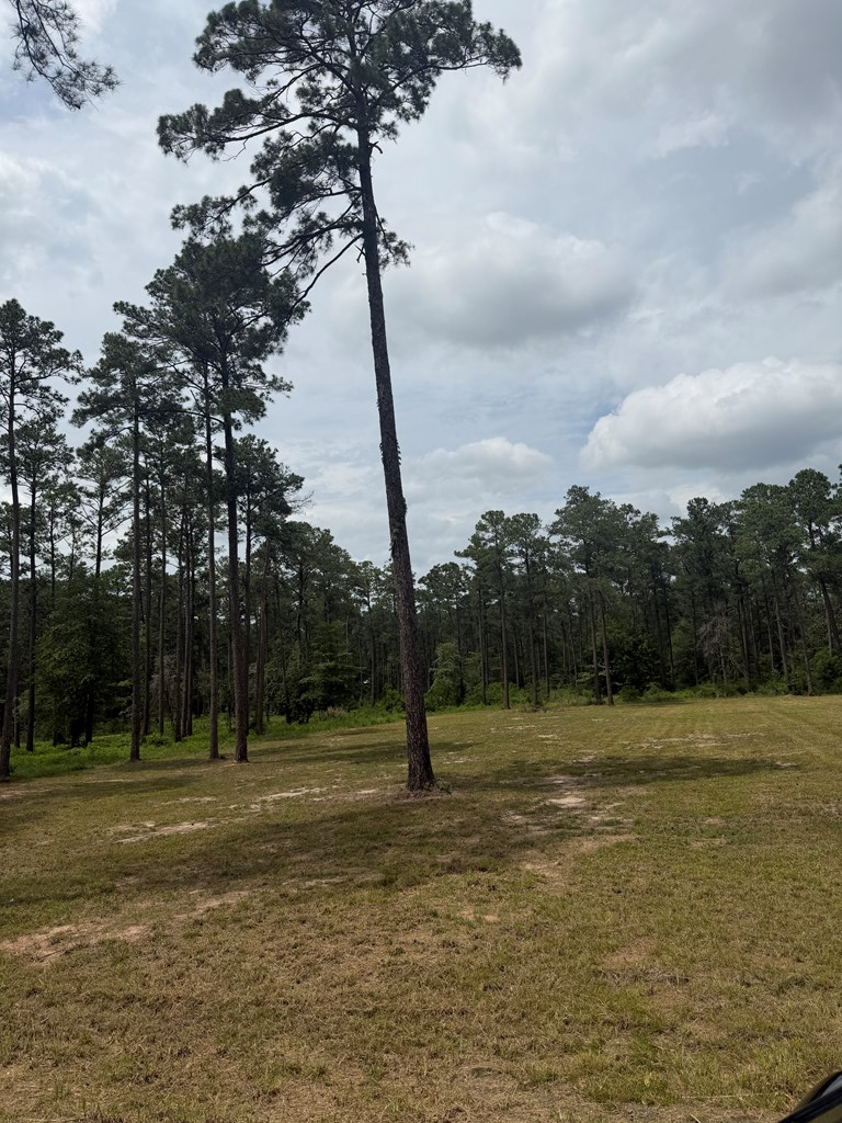 284 Private Rd 6028, Brookeland, TX 75931 - #3