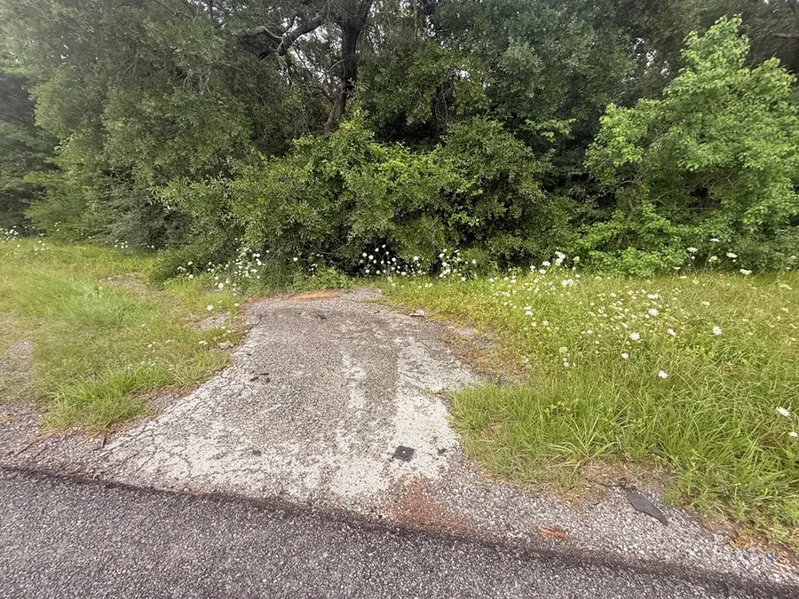 tract 29 Hwy 59 North, Lufkin, TX 75901 - #3