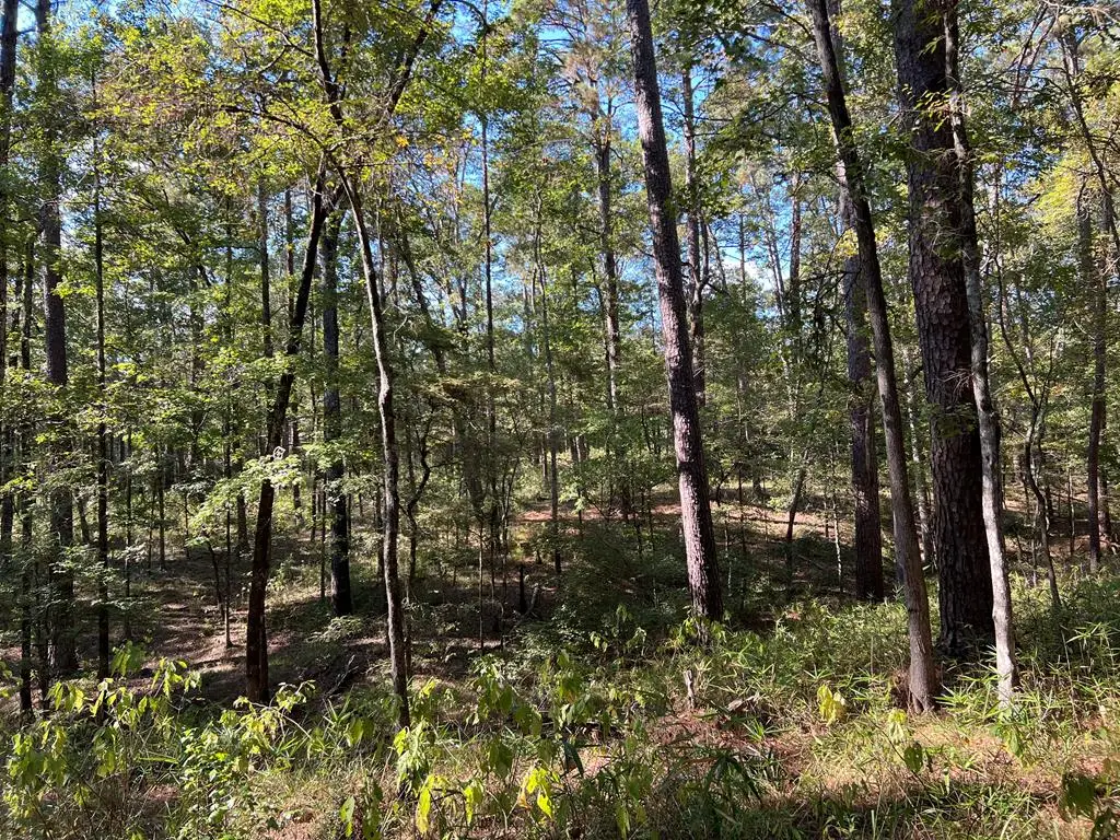 R27947 County Road 2940, Shelbyville, TX 75973 - #1