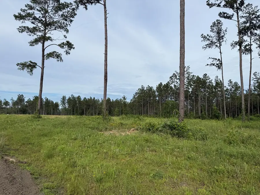 Address Withheld By Seller, Huntington, TX 75949 - #2