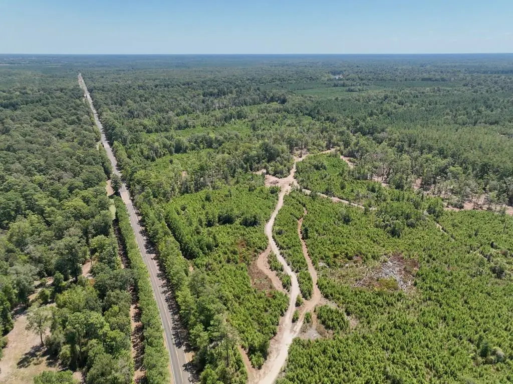 18585 Fm 1013, Spurger, TX 77660 - #1