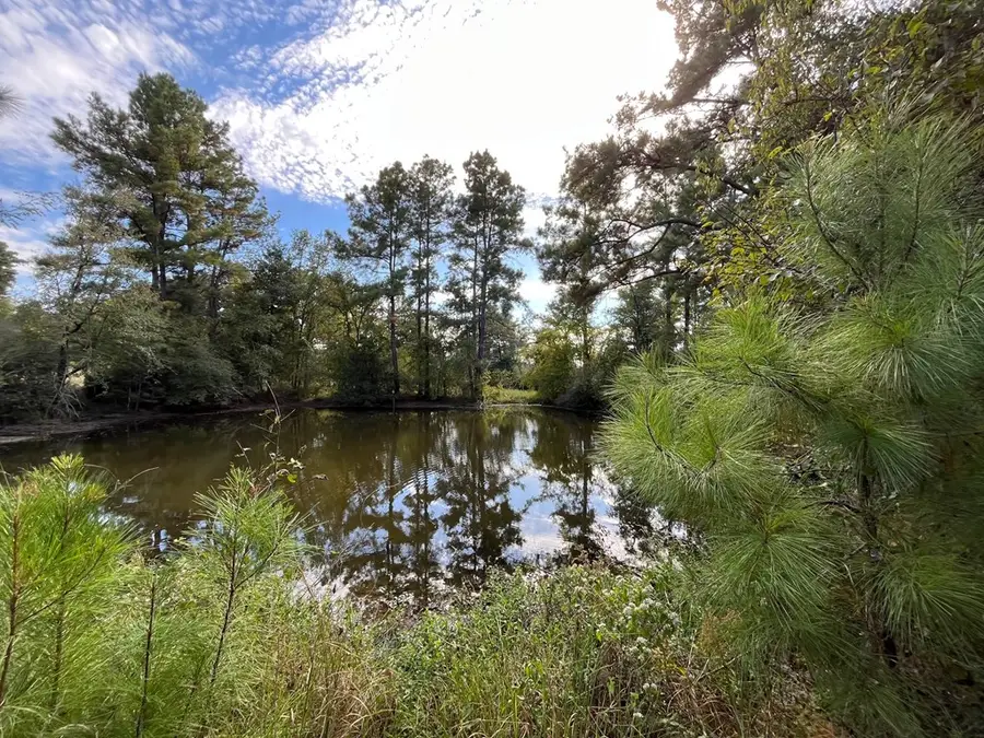 7749 Cr 4200, Pennington, TX 75847 - #2