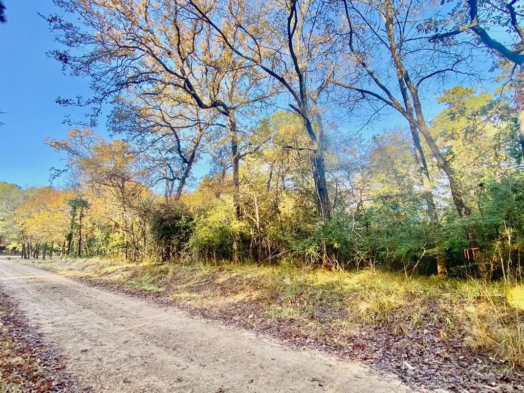 PARCEL #17257 Lakeview Circle, Crockett, TX 75835 - #1