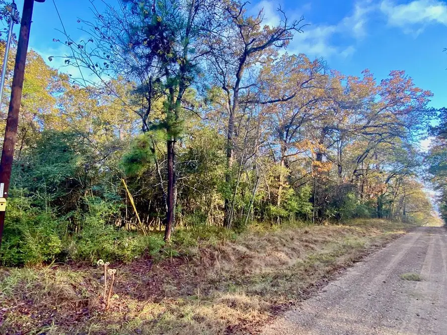 PARCEL #17257 Lakeview Circle, Crockett, TX 75835 - #2