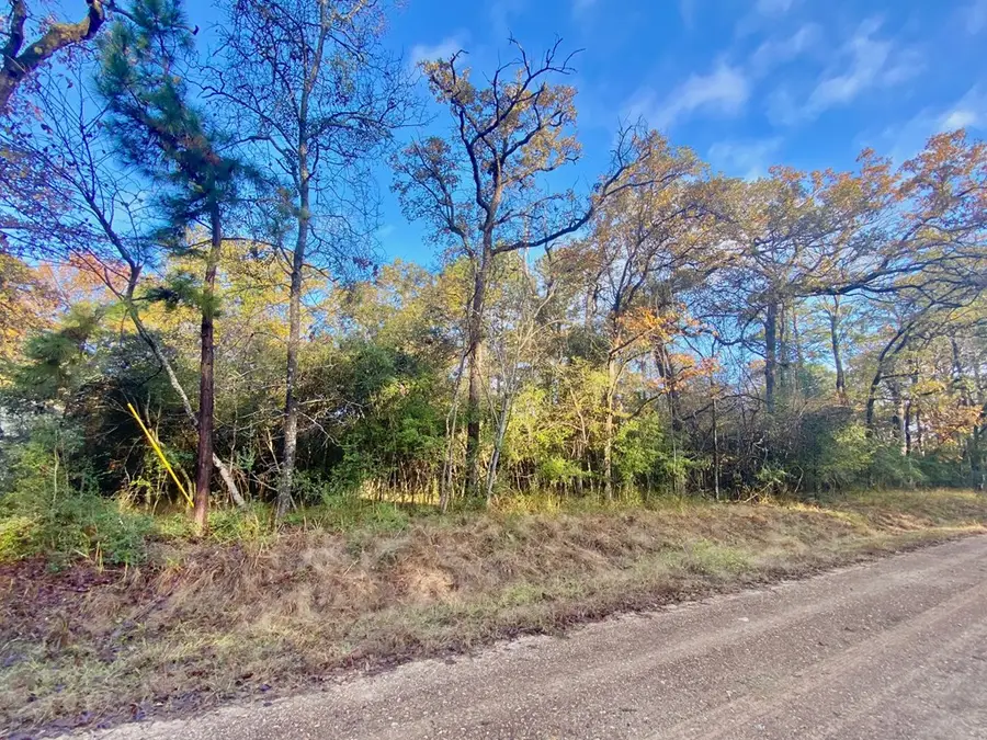 PARCEL #17257 Lakeview Circle, Crockett, TX 75835 - #3
