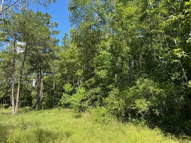 578 County Road 4688, Gary, TX 75643 - #3