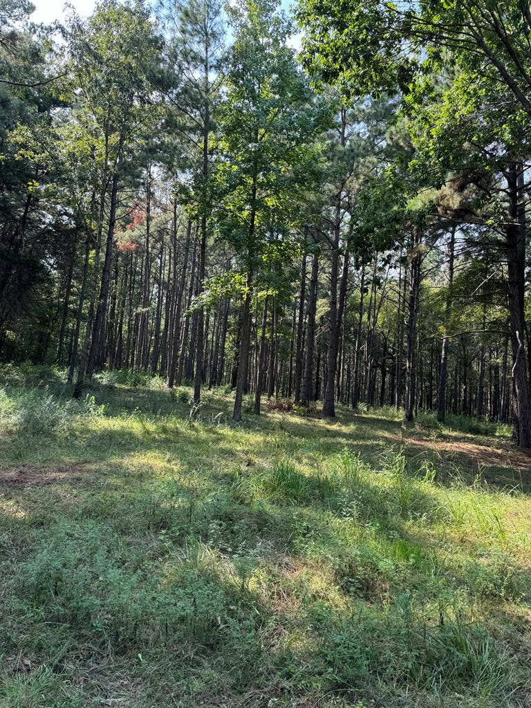 14539 Hwy 59, Nacogdoches, TX 75965 - #3