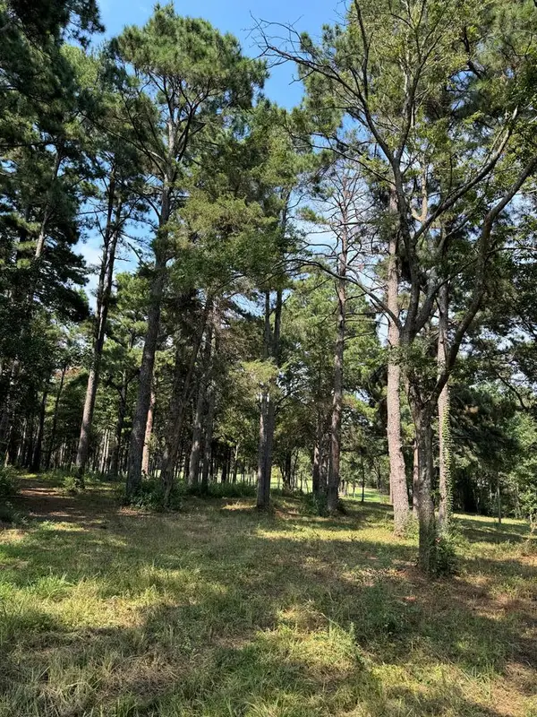 14539 Tract A Hwy 59, Nacogdoches, TX 75965