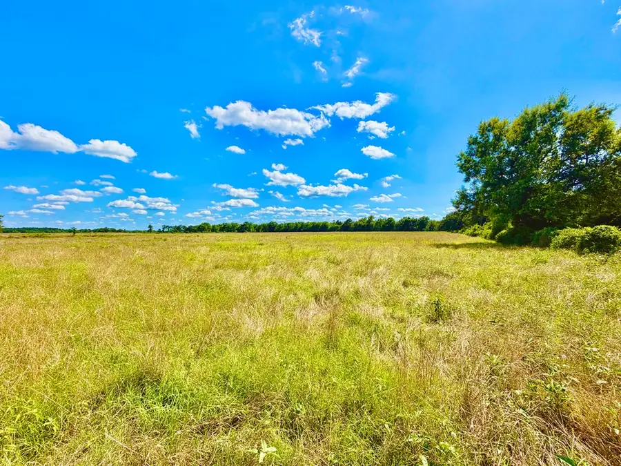 Parcel ID:8473 Cr 3095, Crockett, TX 75835 - #3