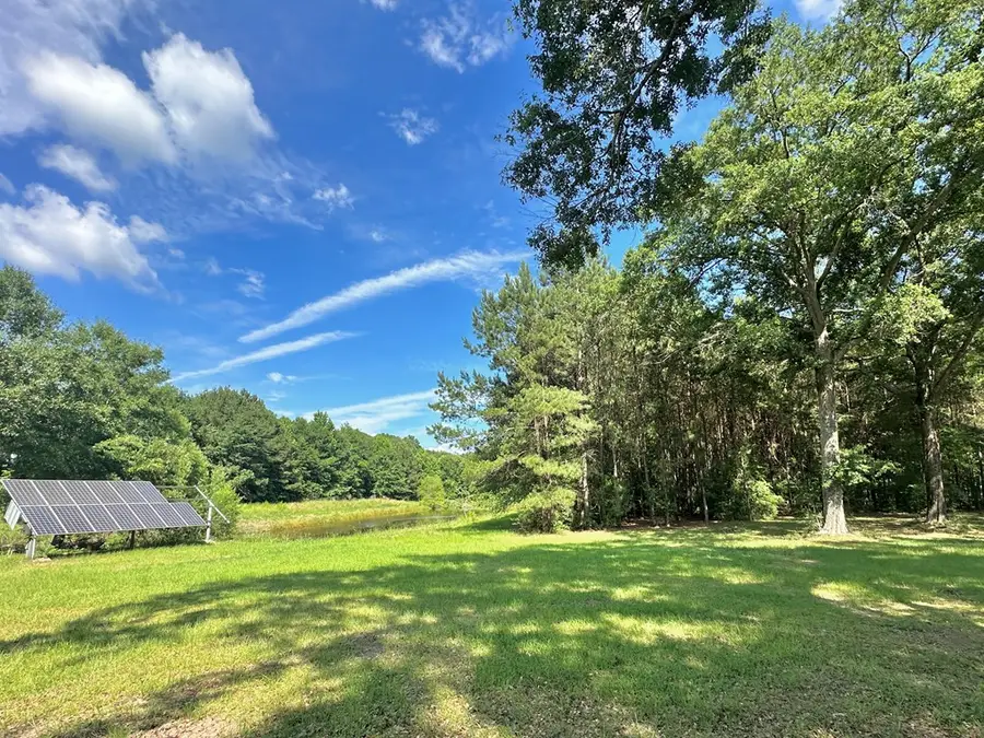 16598 Fm 139, Shelbyville, TX 75973 - #2