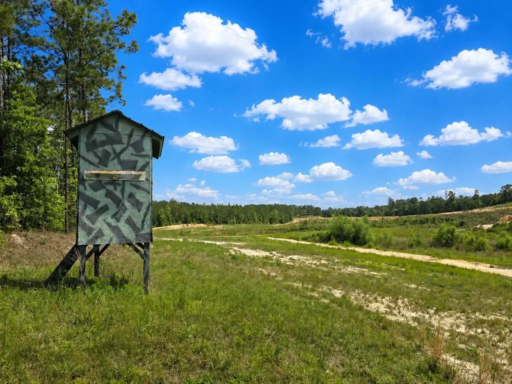 242 County Road 240, Jasper, TX 75951 - #1