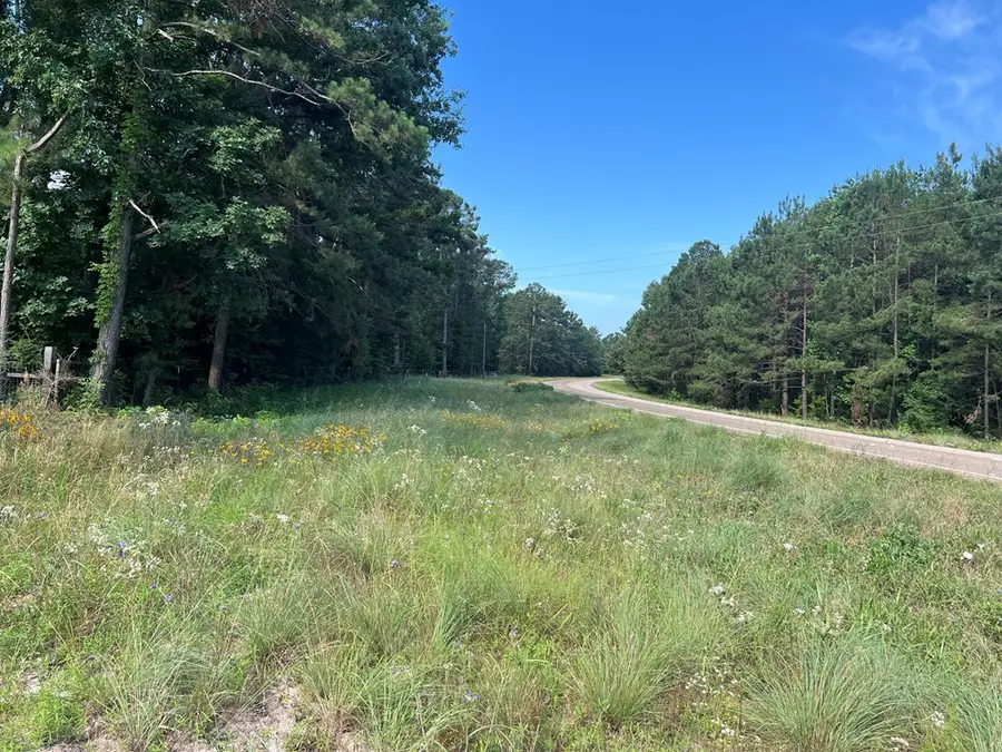 6259 Fm 999w, Gary, TX 75643 - #2