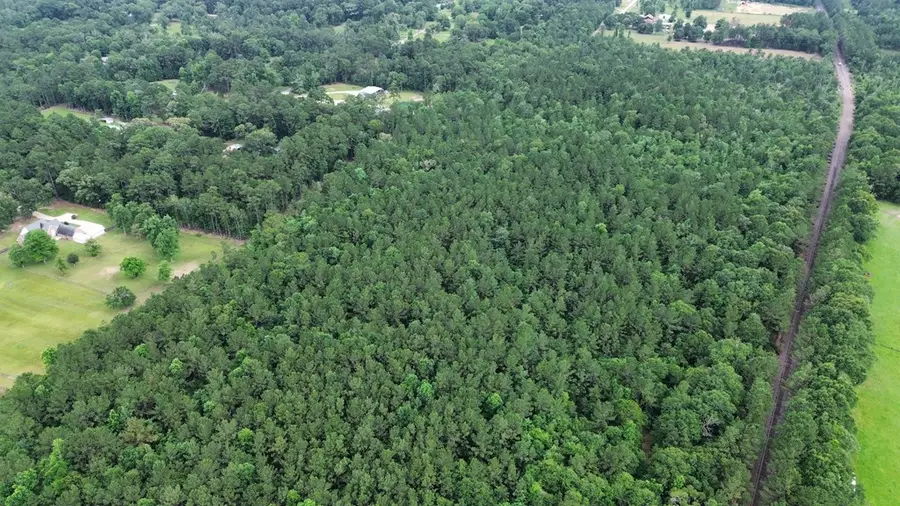 9087 County Road 451, Kirbyville, TX 75956 - #2