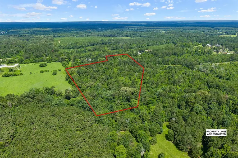 600 County Road 3822, Joaquin, TX 75954 - #3