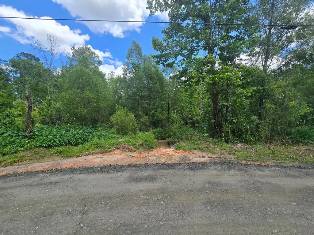 PID# 30404 Shoreline Drive, Woodville, TX 75979 - #1