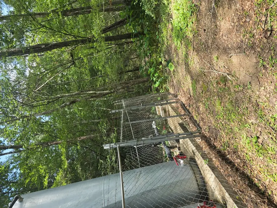 PID# 30404 Shoreline Drive, Woodville, TX 75979 - #2