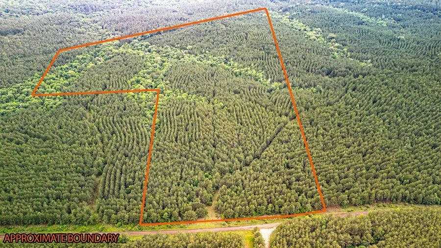 PID #28393 Private Rd 8020, San Augustine, TX 75975 - #3