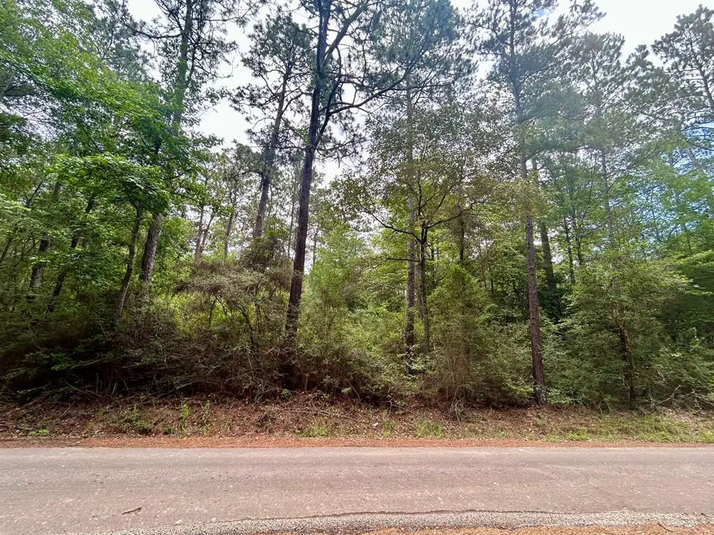Lot 4 John Keely Road, Zavalla, TX 75980 - #1