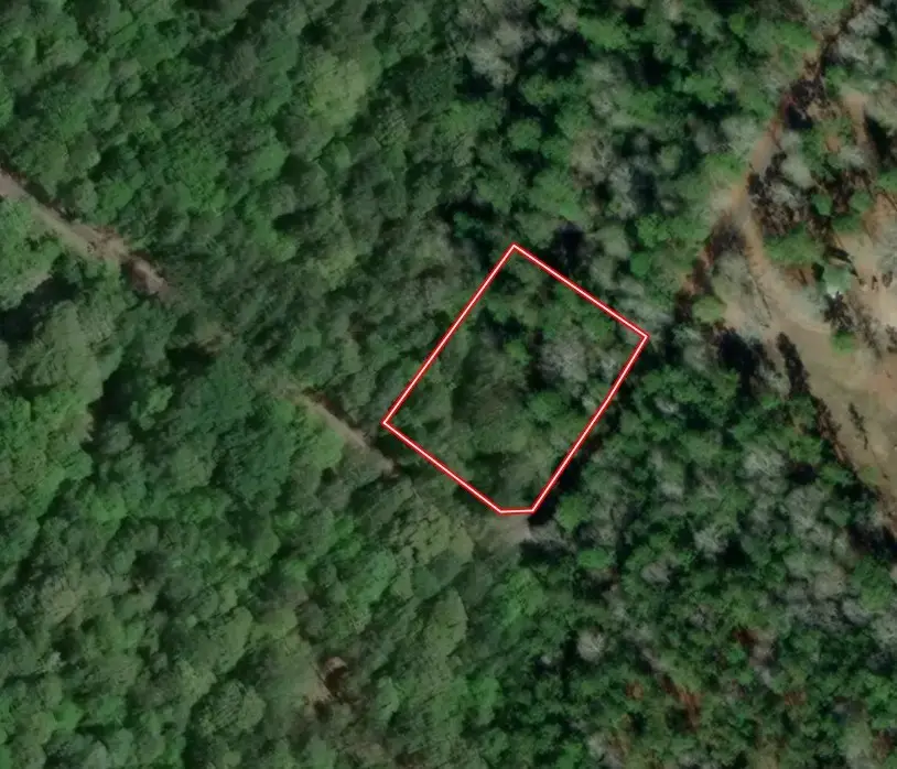 Lot 5 John Keely Road, Zavalla, TX 75980 - #3