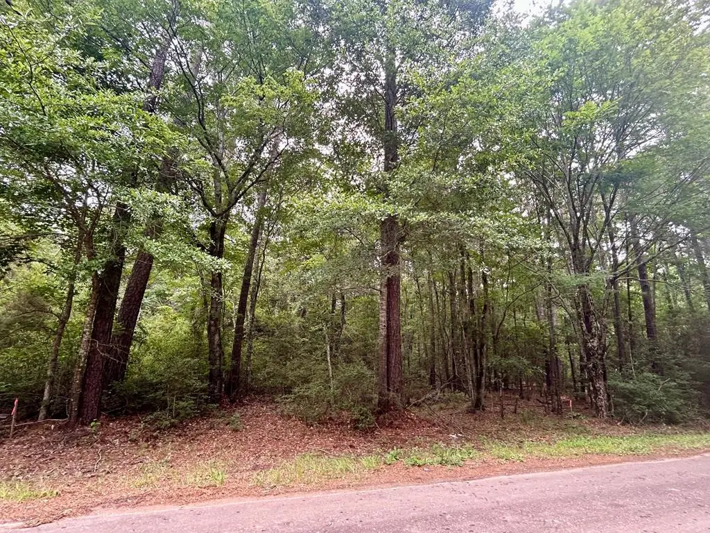 Lot 8 John Keely Road, Zavalla, TX 75980 - #1