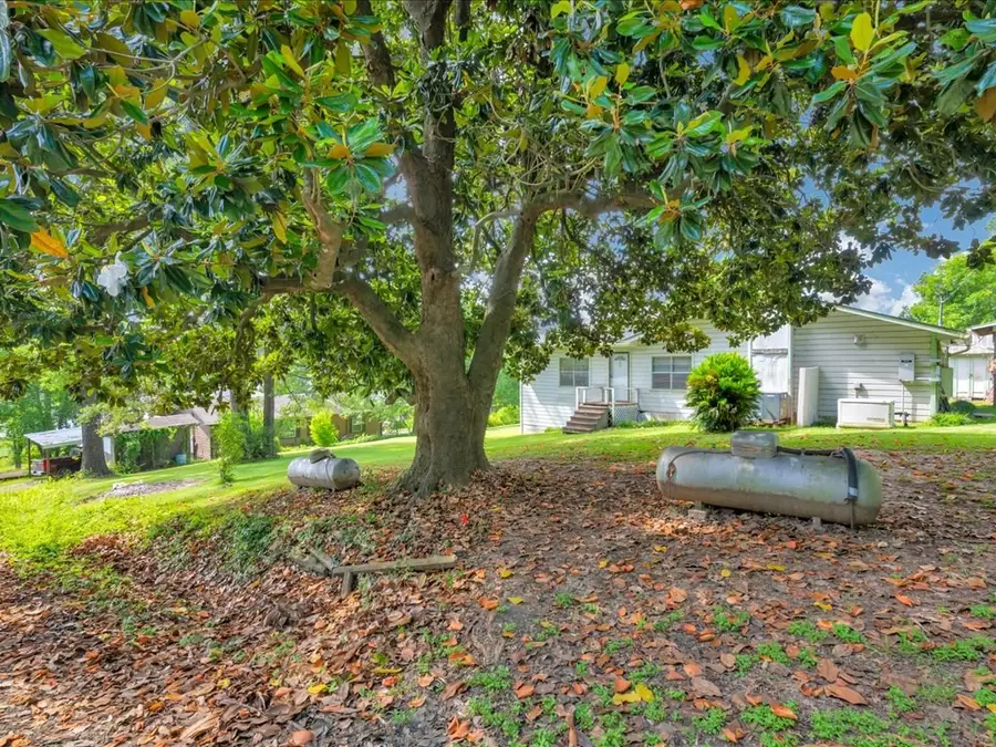 138 County Road 4754, Broaddus, TX 75929 - #2