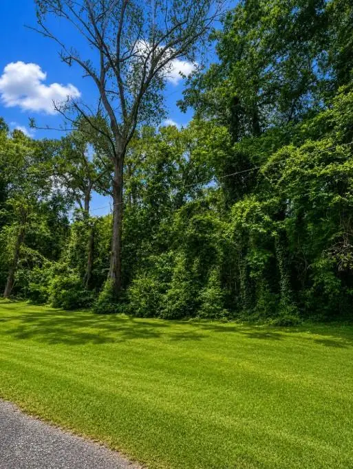 1961 Oak Grove Road, Jasper, TX 75951 - #2