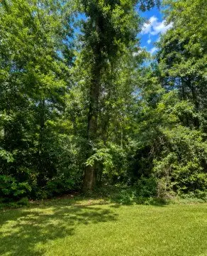 1961 Oak Grove Road, Jasper, TX 75951 - #3