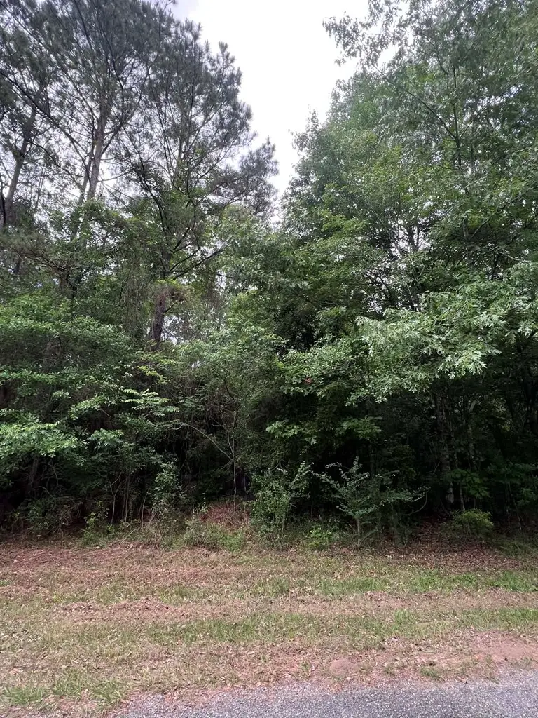 1170 Walnut Run Drive, Jasper, TX 75951 - #2