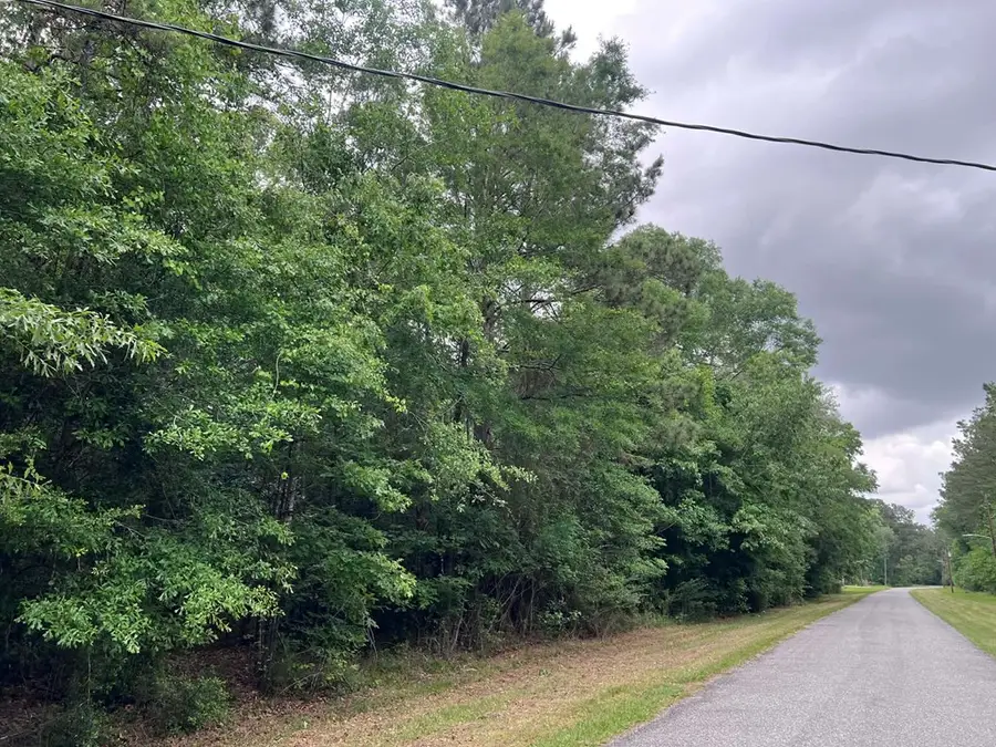1170 Walnut Run Drive, Jasper, TX 75951 - #3