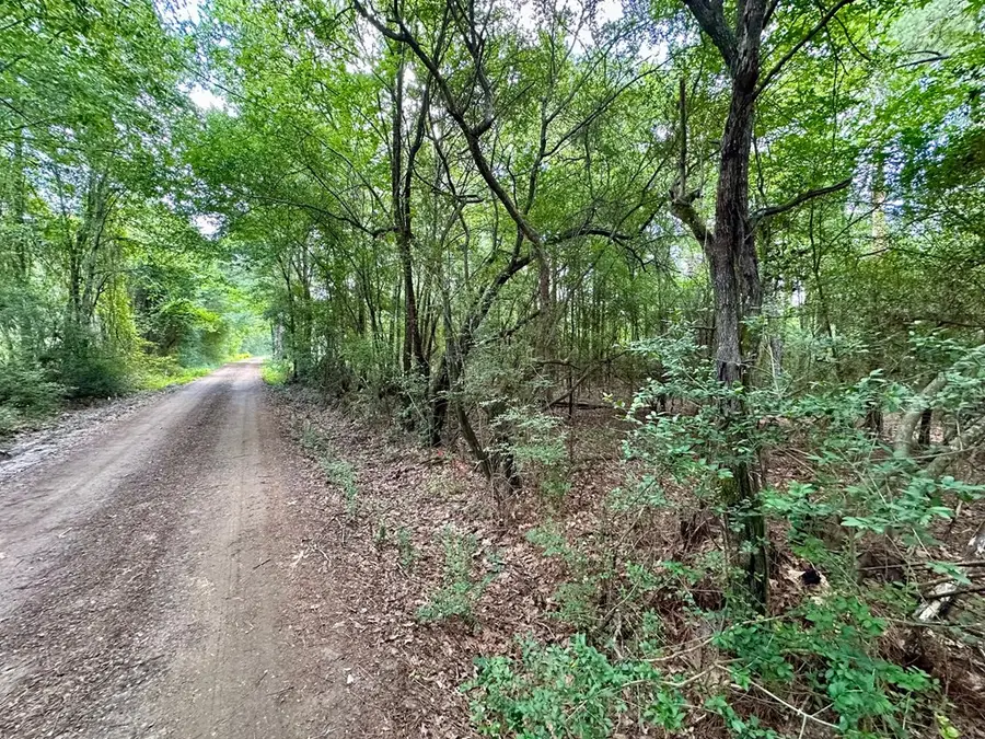 291 Jape Massingill Lane, Diboll, TX 75591 - #2