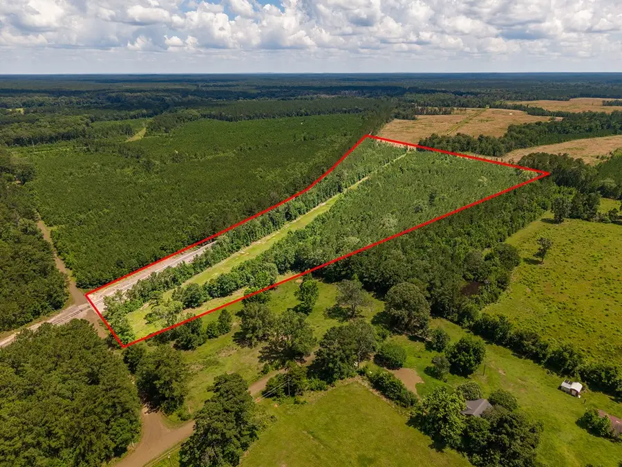 000 Twin Pines Ln, Pineland, TX 75968 - #3