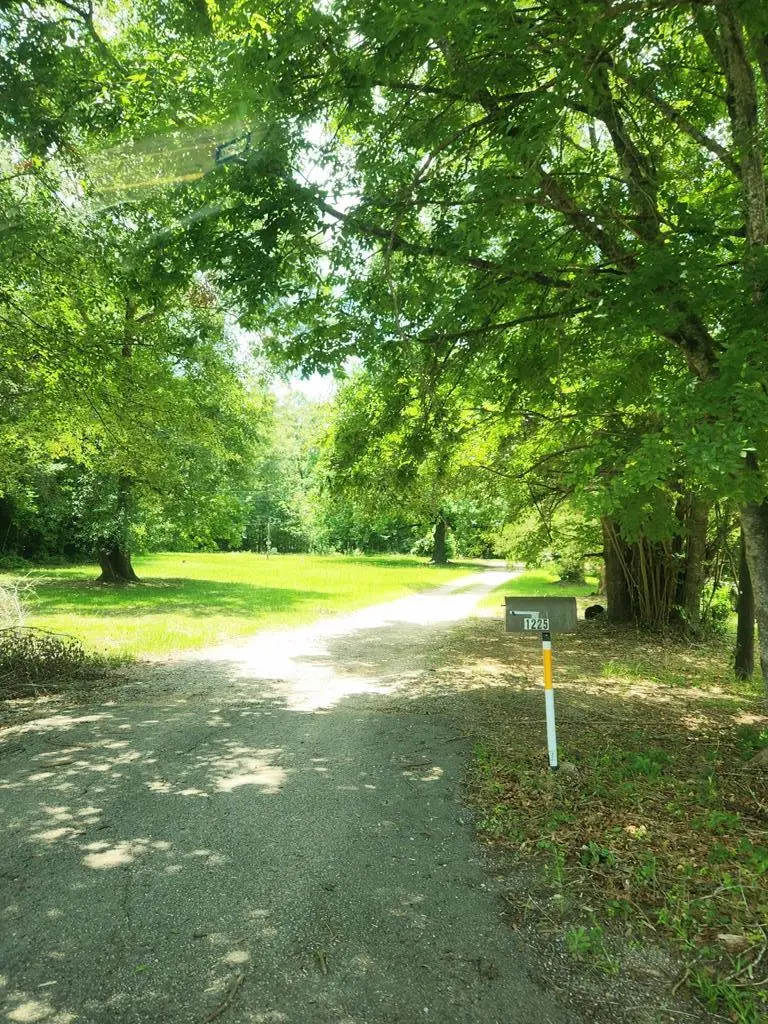 1245 E Gibson Street, Jasper, TX 75951 - #2